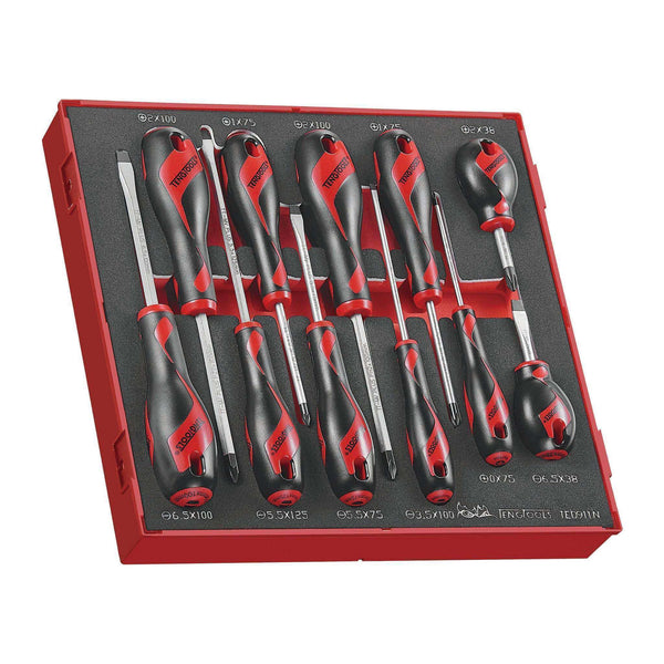 Teng Tools 11 Piece Mixed Screwdriver Set (Flat, PH, PZ,) In Precision EVA Foam Tray - TED911N